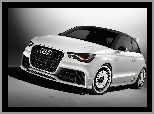 Audi A1 Clubsport