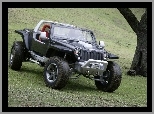 Prototyp, Jeep