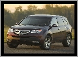 Reflektor, Acura MDX, Emblemat