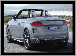 Cabrio, Audi TTS Roadster