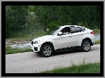 BMW X6, Kierowca