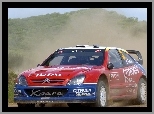 Citroen Xsara WRC